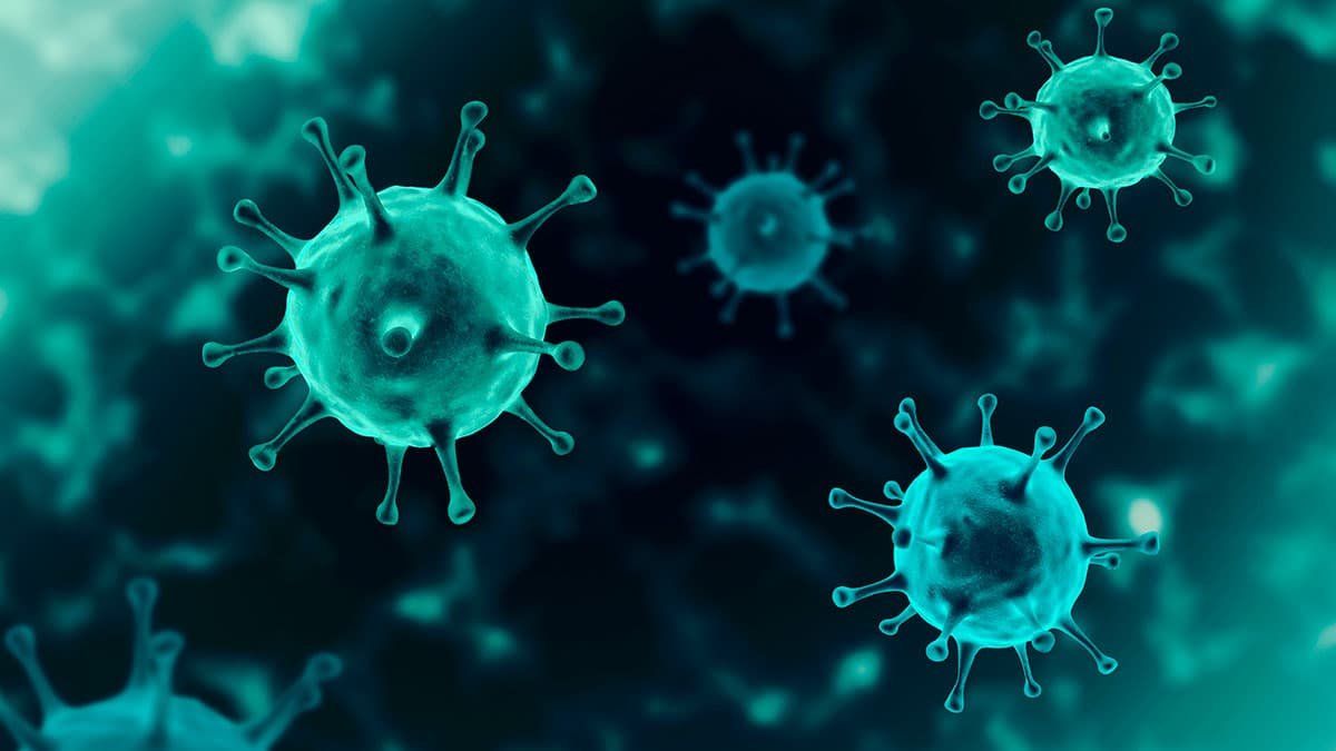 virus.jpg
