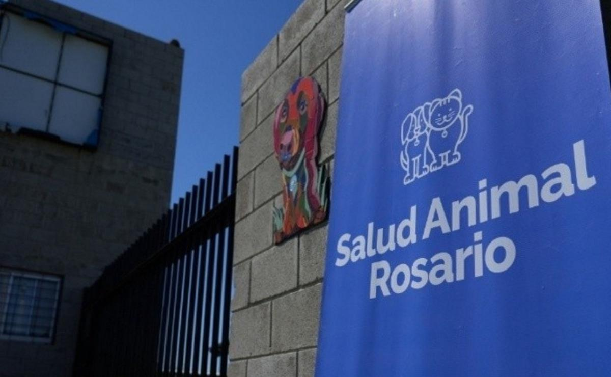 En marcha el Hospital Animal. En marcha el Hospital Animal. 