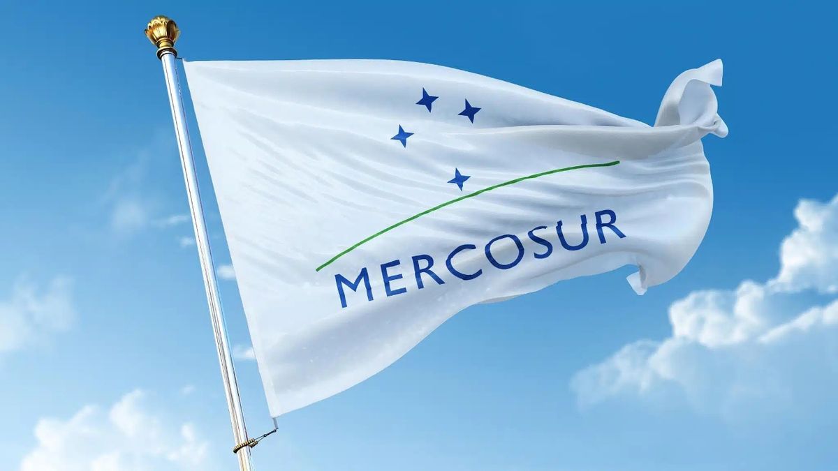 MERCOSUR conmemora hoy 33 años de su constitución