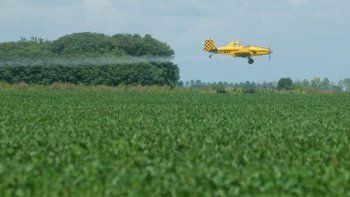 agroquimicos, mentiras y el riesgo del glifosato agroquimicos, mentiras y el riesgo del glifosato