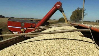 Bomba para el campo: Banco Nación lanza préstamos en dólares al 0%