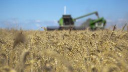 El Gobierno irá a la reunión con el campo con 5 temas clave que surgieron del encuentro que Sergio Massa, junto al secretario de Agricultura, mantuvieron con la Mesa de Enlace el viernes pasado.﻿
