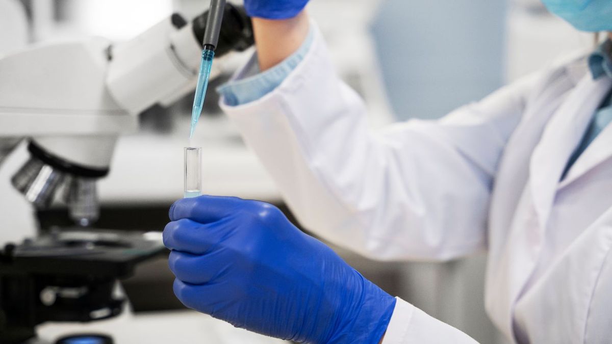 La célula sintética podría contribuir a nuevos avances en la medicina. La célula sintética podría contribuir a nuevos avances en la medicina.