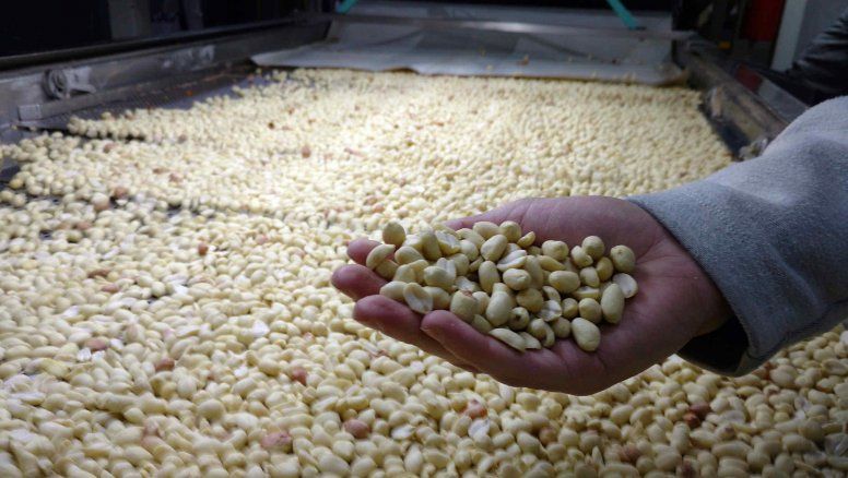 BCR, exportaciones y agroindustria (del 2022 récord a un pésimo 2023)