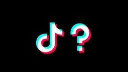 TikTok o cómo pescar votos en la pecera virtual.