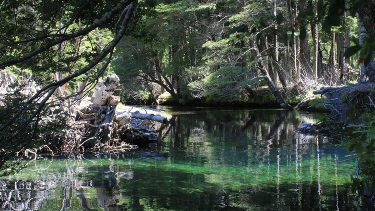 Termas del Queñi, en San Martín de Los Andes. (Foto: Diario 7 Lagos). Termas del Queñi, en San Martín de Los Andes. (Foto: Diario 7 Lagos).