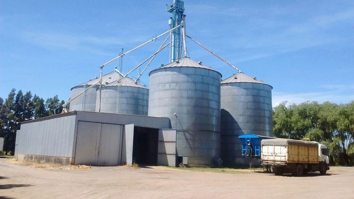 AFIP descubre casi 1.500 toneladas de Maíz en condiciones de compra que siembran muchas dudas