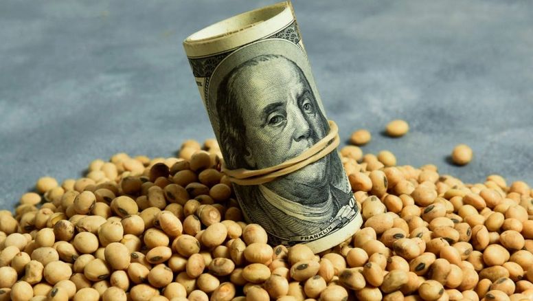 Esperando la cosecha gruesa: Frenazo de la soja y la peor caída de reservas del BCRA