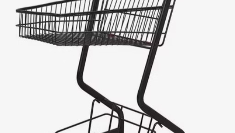 Carritos más chicos y frágiles (de plástico) para compras más pequeñas