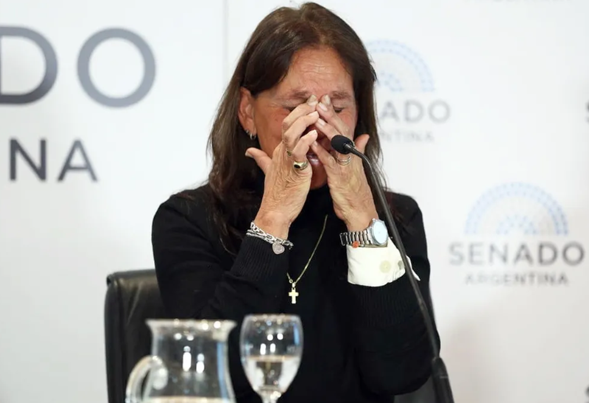 La política intenta buscar soluciones ante el crudo testimonio de la mamá del artista en el Senado. Foto: (Gerardo Viercovich/cortesía La Nación).
