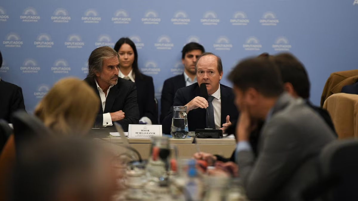 Daniel González y Bertie Benegas Lynch en el plenario de comisiones que debatió el 'Super RIGI'. Daniel González y Bertie Benegas Lynch en el plenario de comisiones que debatió el 'Super RIGI'.