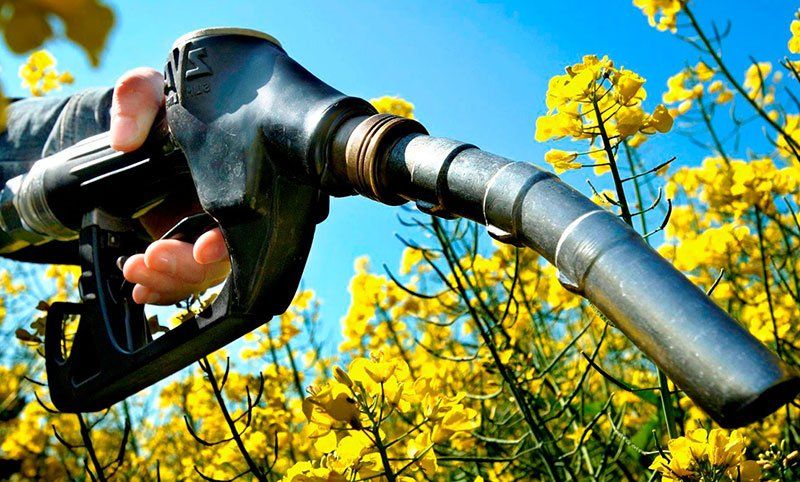 El bioetanol subió tras los reclamos de los productores por el incremento de sus costos.