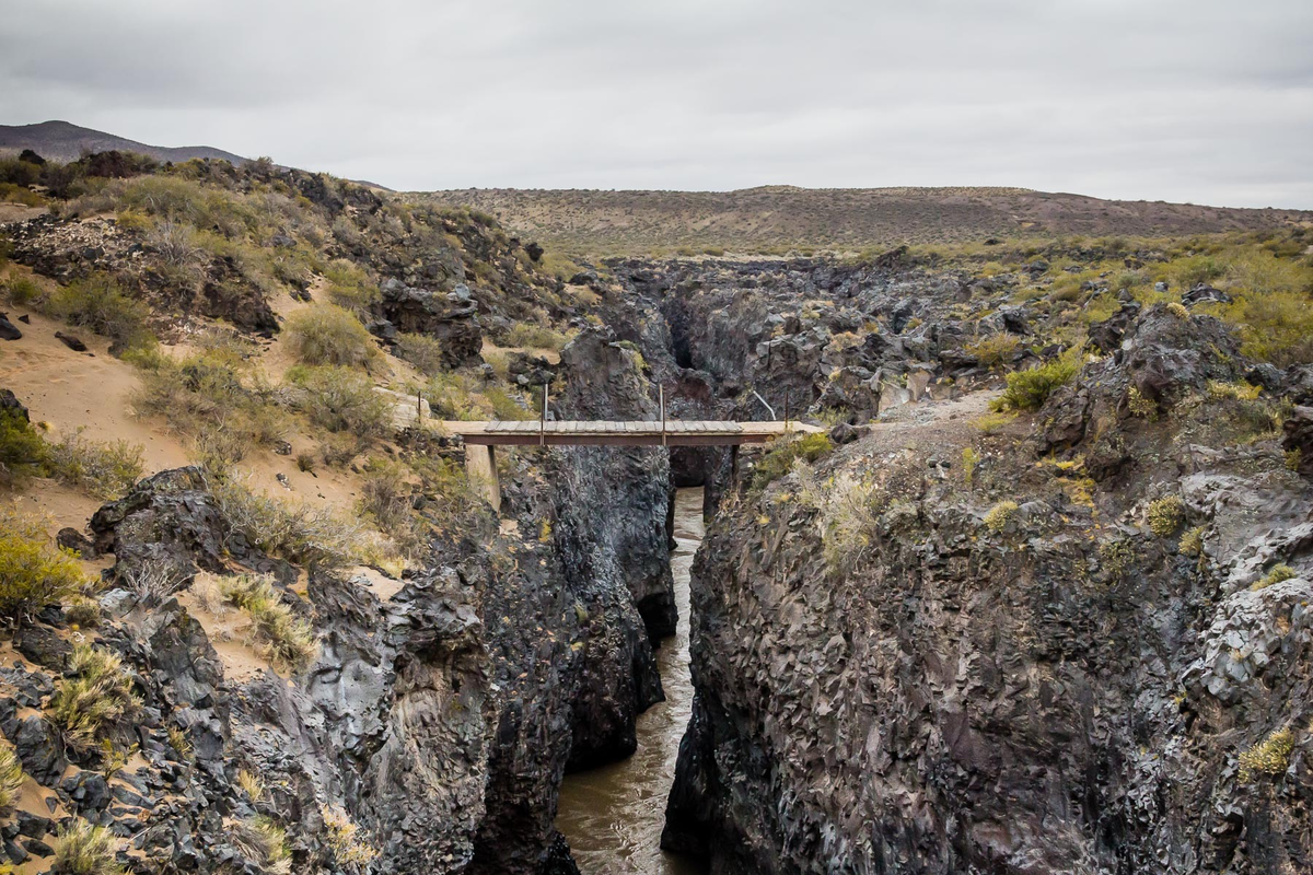 Foto: La Ruta Natural - Noticias Argentinas. Foto: La Ruta Natural - Noticias Argentinas.