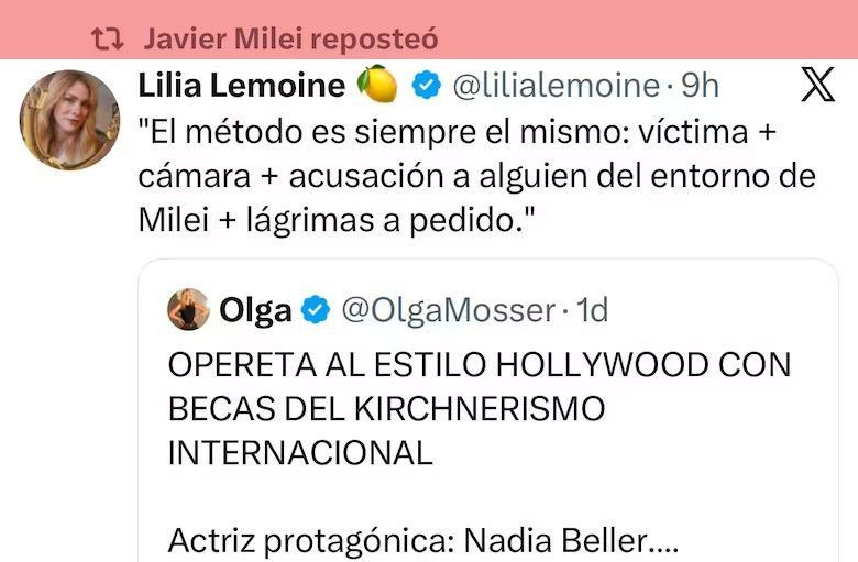 Uno de los mensajes que ponen en duda el ataque a la expareja de Cerimedo que compartió Milei.&nbsp;
