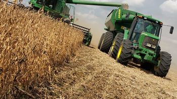 La soja volverá a ser el mejor negocio del campo La soja volverá a ser el mejor negocio del campo