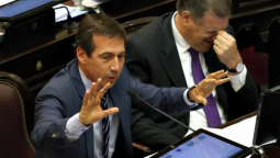 altText(Una senadora abandonó las filas de la UCR y armó su propio monobloque)}
