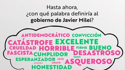Javier Milei provoca la polarización.
