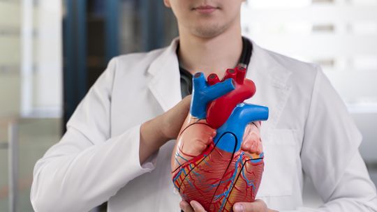 Cómo evitar arterias obstruidas y tener un corazón saludable / Imagen de Freepik. Cómo evitar arterias obstruidas y tener un corazón saludable / Imagen de Freepik.