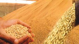 altText(En agosto, US$8 de cada US$10 del campo fueron para importar energía)}