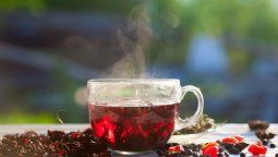 Bebida natural: ¿Qué beneficios tiene el té de hibisco?