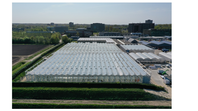 Milei: ¿Silicon Valley o Food Valley? Milei: ¿Silicon Valley o Food Valley?