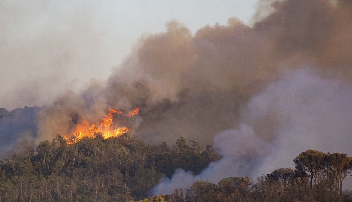 Un foco de incendio cerca de la Costa Brava volvió a encender la alarma en Cataluña, una de las zonas más golpeadas por la ola de calor que atraviesa España.