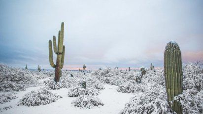 ¡Clima loco! Por una masa de frío, el desierto de Arizona se llenó de nieve