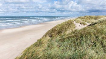 La playa que combina mar, bosques y cabalgatas. La playa que combina mar, bosques y cabalgatas.