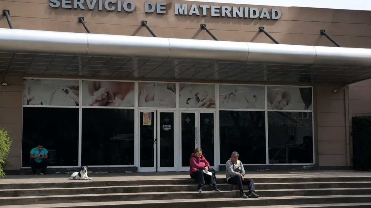 Torchia planteó una discusión válida sobre las genitalidades atípicas, pero la aplicó a un caso que no tiene evidencia de ambigüedad, lo cual provocó fuertes críticas en X. Foto: El Trece Torchia planteó una discusión válida sobre las genitalidades atípicas, pero la aplicó a un caso que no tiene evidencia de ambigüedad, lo cual provocó fuertes críticas en X. Foto: El Trece