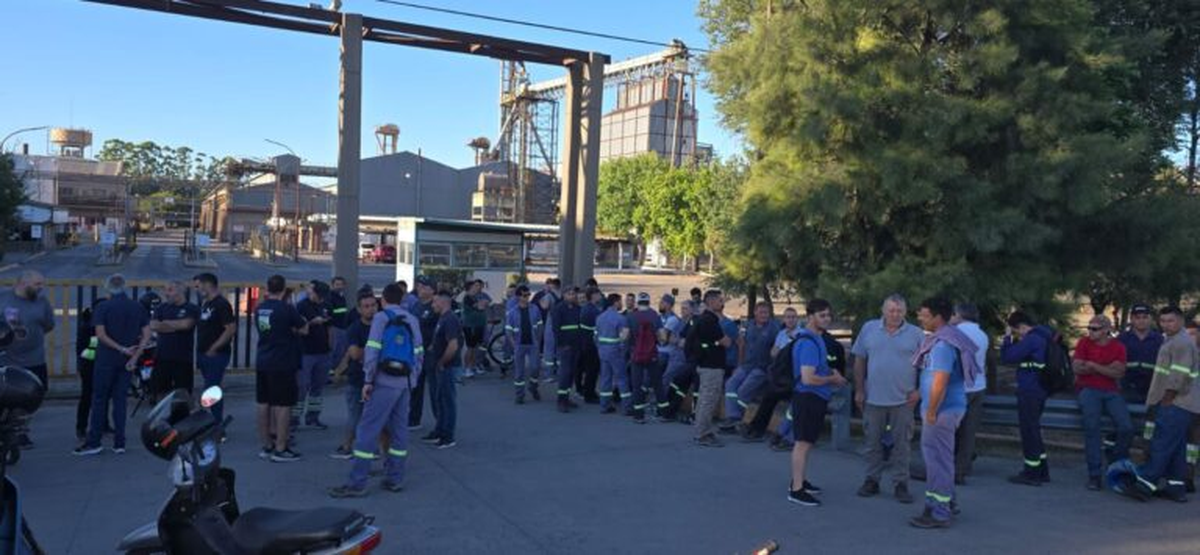 La situación genera preocupación en el sector, ya que el paro podría afectar la producción y exportación de aceites y biodiesel, sectores clave en la economía del país. La situación genera preocupación en el sector, ya que el paro podría afectar la producción y exportación de aceites y biodiesel, sectores clave en la economía del país. 