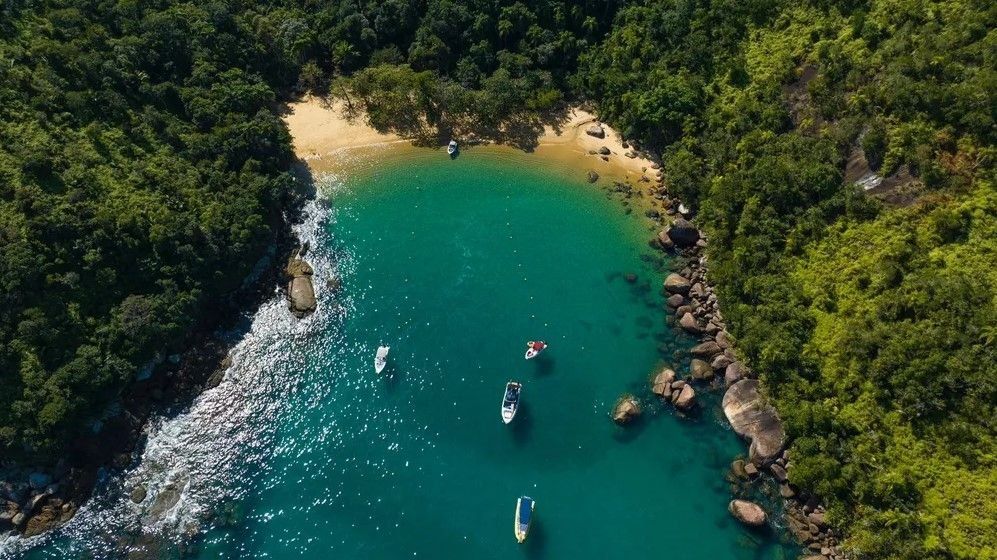 Parque Estadual Isla Anchieta, en Brasil.