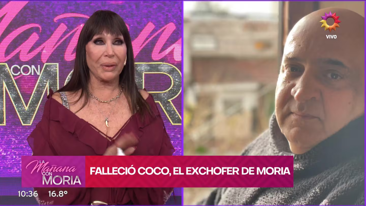 Moria Casán recibió en pleno programa la noticia de la muerte de Coco, recordó el reciente acercamiento y lo despidió entre lágrimas y afecto. Foto: Captura El Trece Moria Casán recibió en pleno programa la noticia de la muerte de Coco, recordó el reciente acercamiento y lo despidió entre lágrimas y afecto. Foto: Captura El Trece