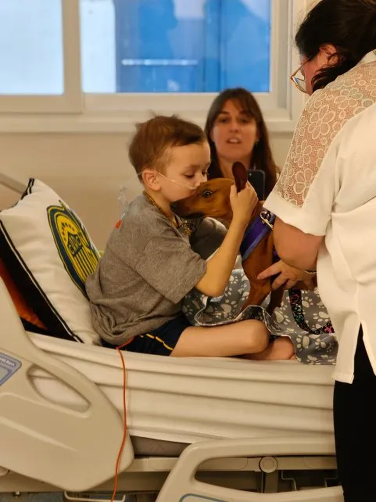 La historia que conmovió: Nico pudo recibir a Nikita en una de sus sesiones de quimioterapia. La historia que conmovió: Nico pudo recibir a Nikita en una de sus sesiones de quimioterapia. 