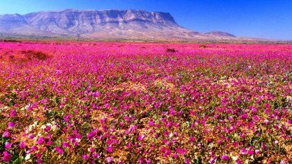 Los destinos más espectaculares para viajar en primavera