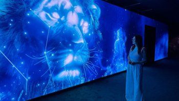 ¿Quién pagó el viaje de Sandra Pettovello a Singapur?