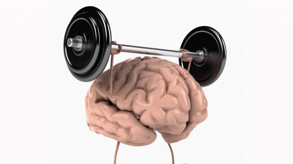 Los Nutrientes Esenciales Para Tener Un Cerebro Sano Y Una Memoria óptima