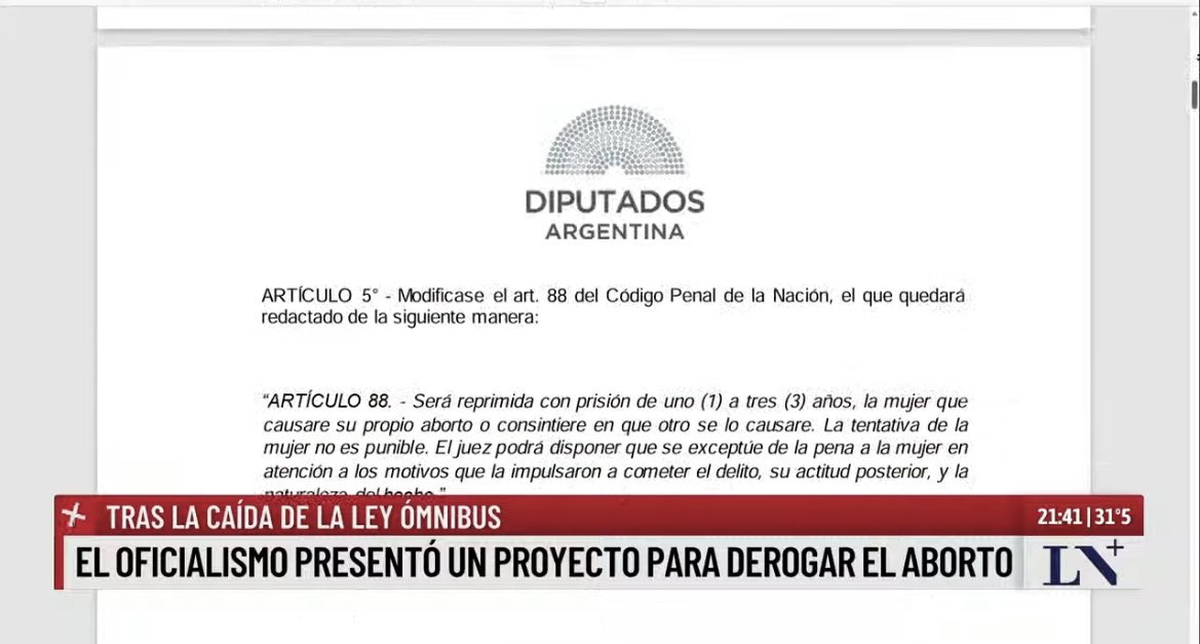 Piden derogar ley de aborto legal horas antes de la entrevista de Milei y el Papa Francisco Piden derogar ley de aborto legal horas antes de la entrevista de Milei y el Papa Francisco