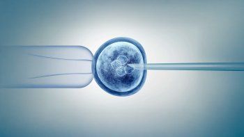 La ciencia no deja de sorprender. La ciencia no deja de sorprender.