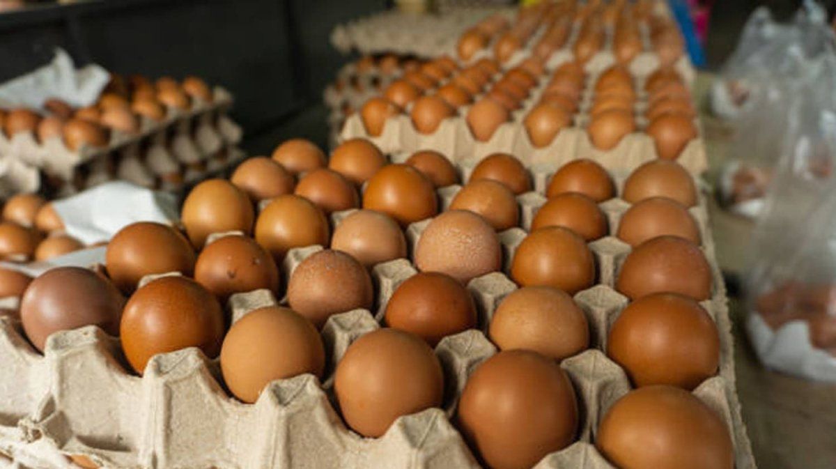 Decomiso de huevos. Decomiso de huevos.