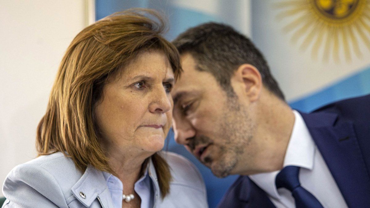 Patricia Bullrich y Luis Petri.