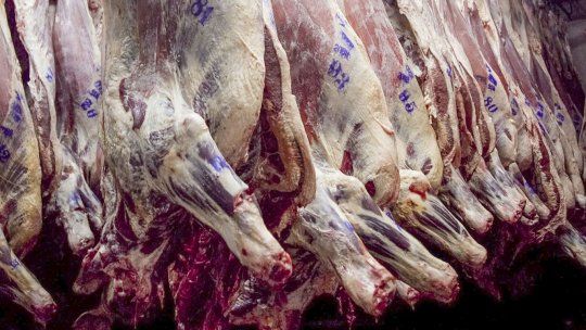 La Argentina exportó 46 mil toneladas de carne a USA en el primer semestre de 2026.&nbsp;