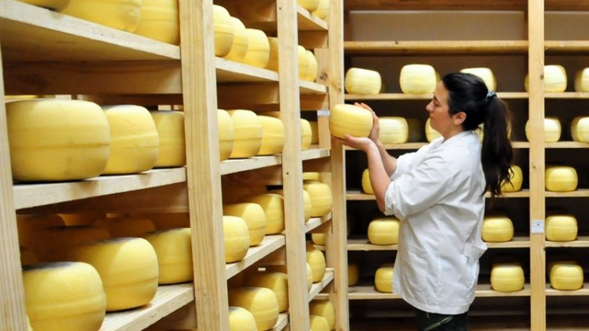 Cluster quesero de Tandil, un orgullo de Argentina Cluster quesero de Tandil, un orgullo de Argentina