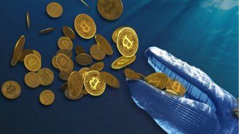 ballena cripto sale a vender 2.742 bitcoins (+us$ 126 m) ballena cripto sale a vender 2.742 bitcoins (+us$ 126 m)