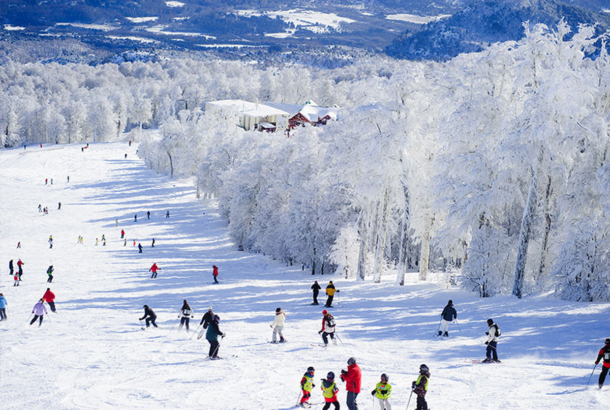 Árboles nevados rodean la pista logrando un paisaje de ensueño. Foto: Chapelco Ski Resort