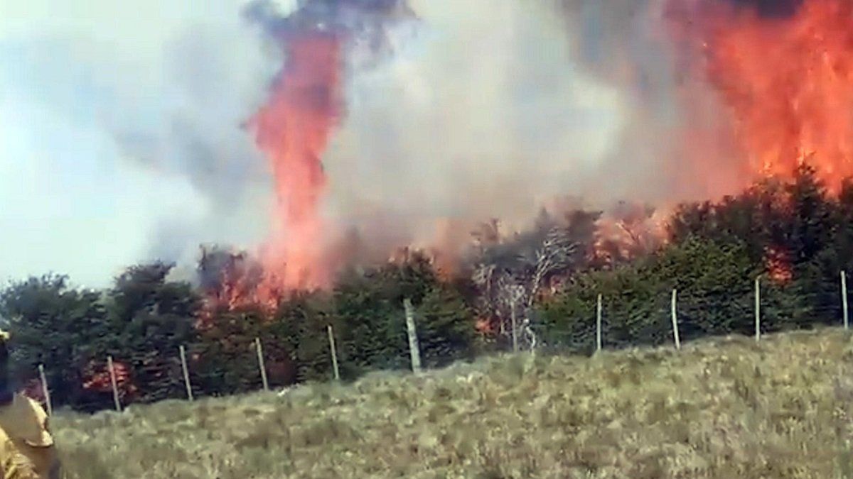 Autoridades uruguayas preocupadas por dos grandes focos de incendios