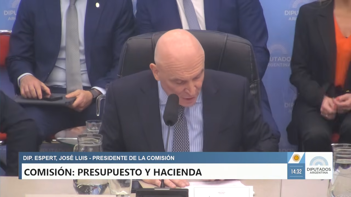 COMISIÓN EN VIVO_ PRESUPUESTO Y HACIENDA - 1 de octubre de 2025 -  Diputados Argentina 1-12-57 screenshot