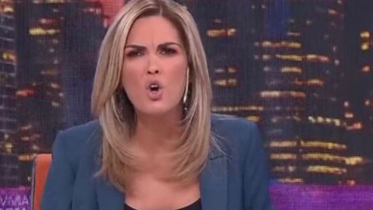 Viviana Canosa arremetiendo contra el feminismo argentino Foto: Perfil