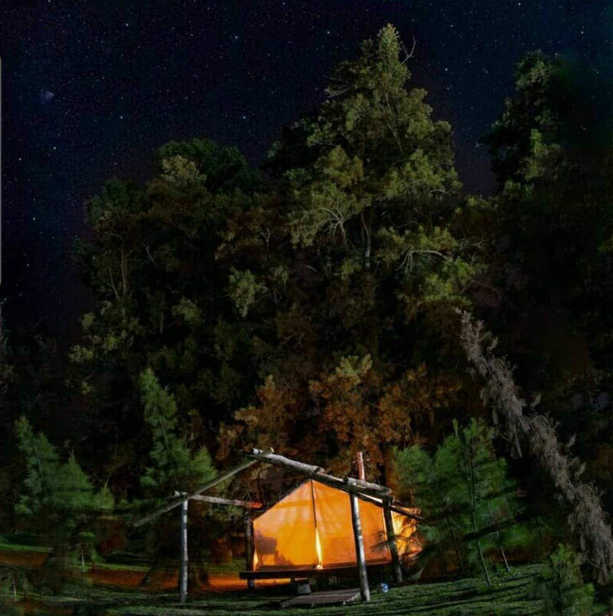 Desde las carpas se puede contemplar el cielo lleno de estrellas.
