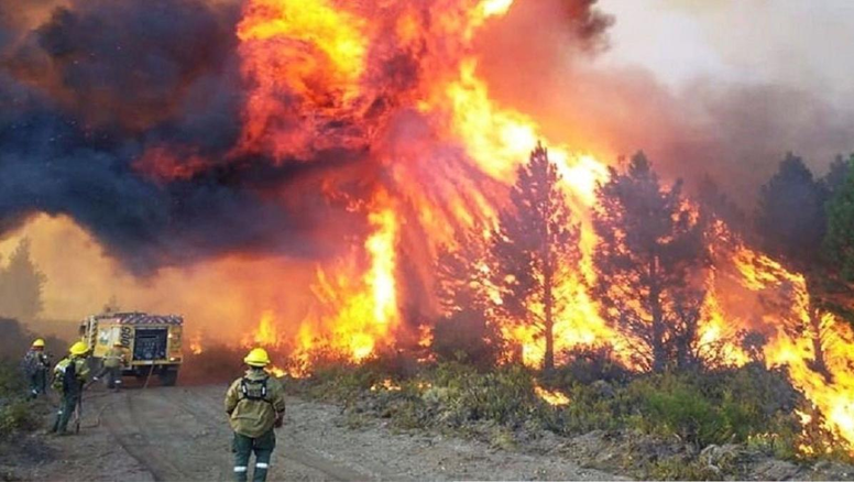 Es decisión de Javier Milei: La flexibilización llegó al fuego en los bosques de la Patagonia