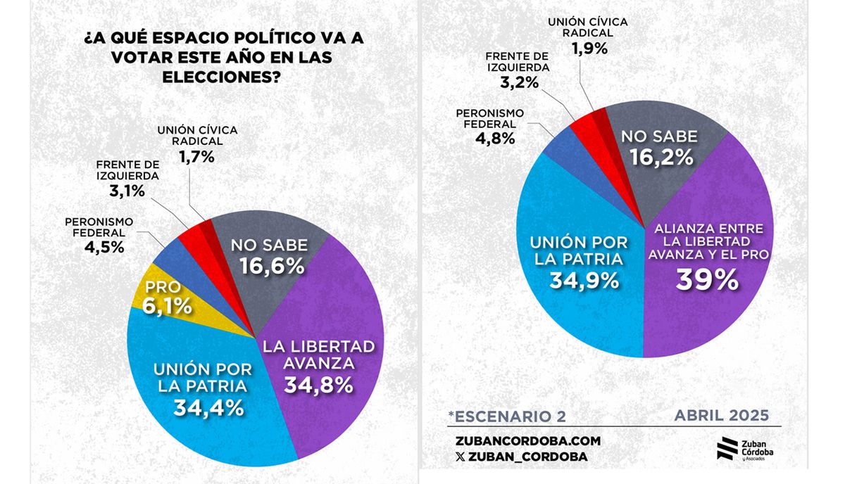 A Javier Milei no le va tan bien pero la oposición todavía no le gana porque la gente cree que no tiene un plan.